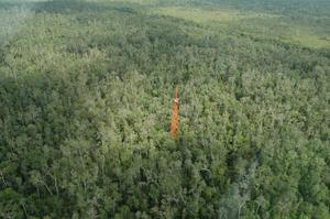 Observation Tower