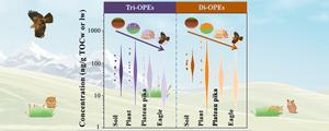 Trophic dilution behavior of OPEs in a typical terrestrial food chain of the Tibetan Plateau