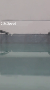 Surfing Robot