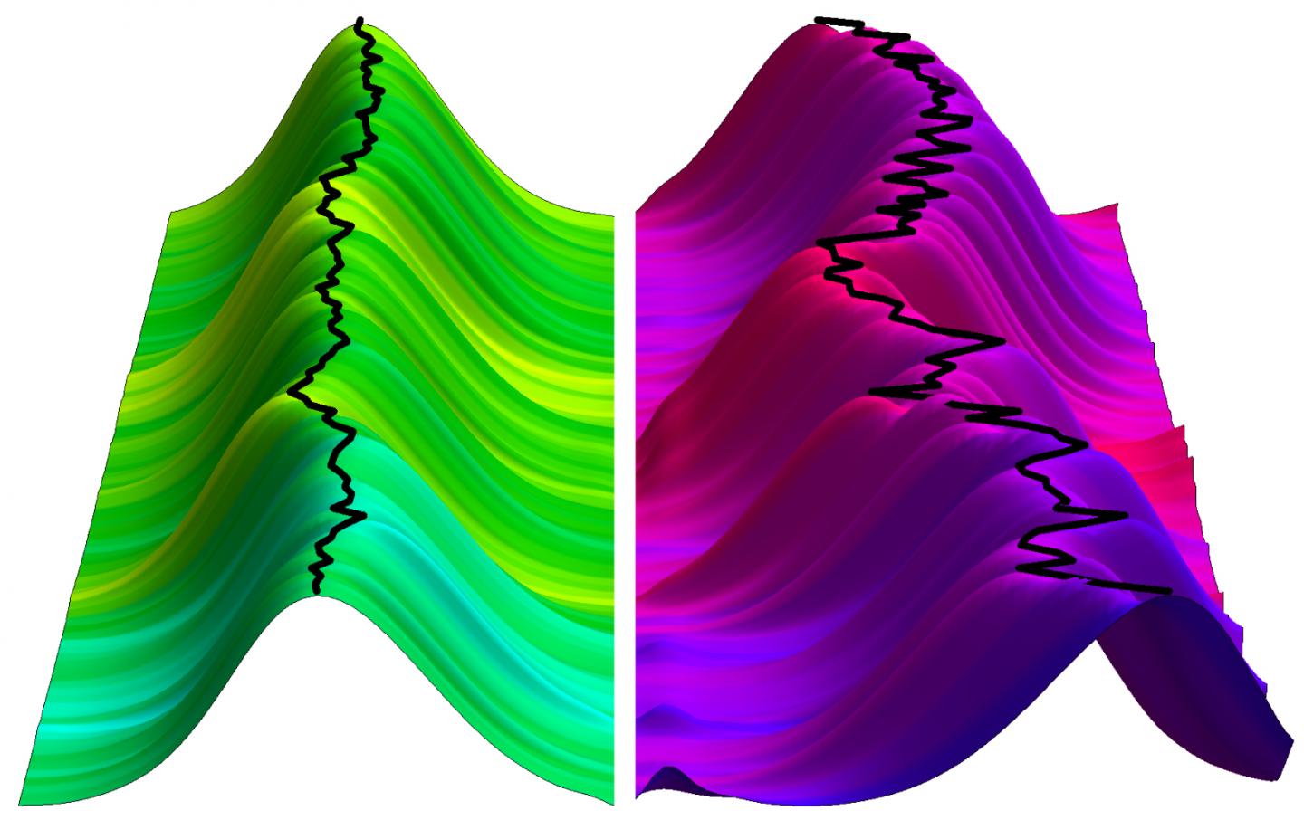 Neuronal Activity