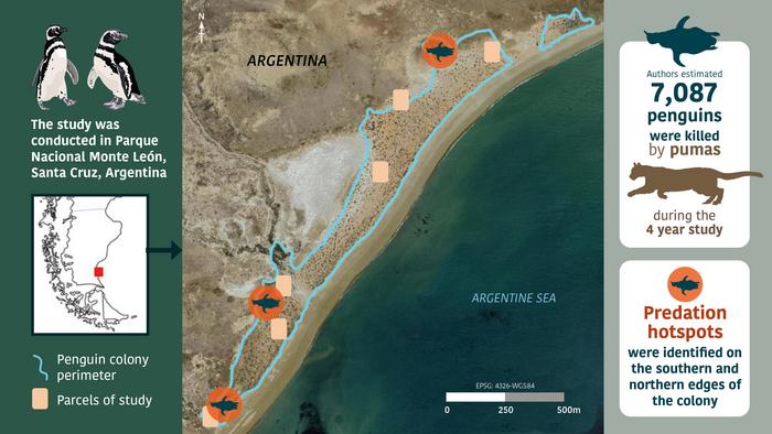 Infographic- study findings