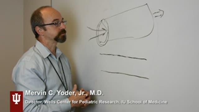 Potential for New Peripheral Artery Disease Therapy