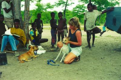 African Dogs