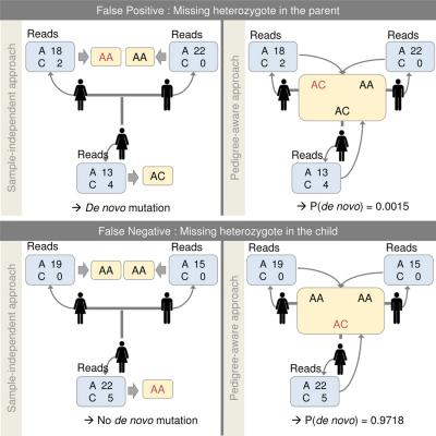 Sequencing Results