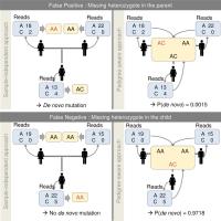 Sequencing Results