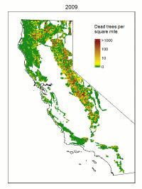 Dead Tree Map, 2009-2015, Animated GIF