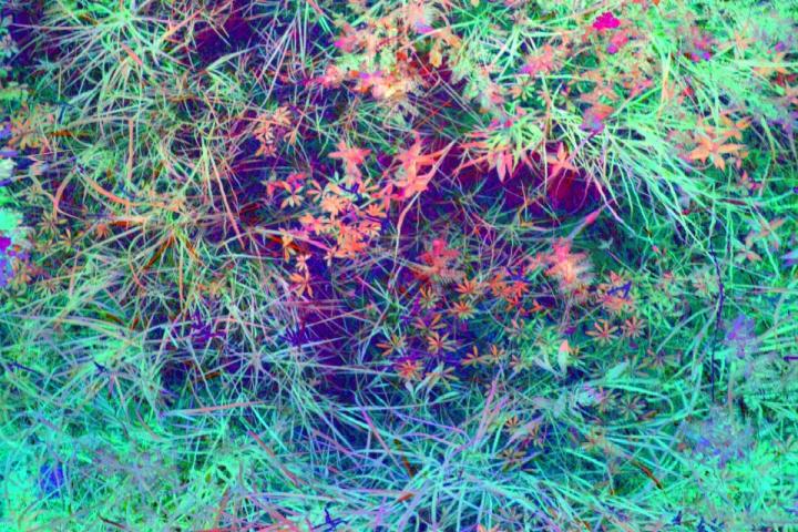 Spectrometer Image