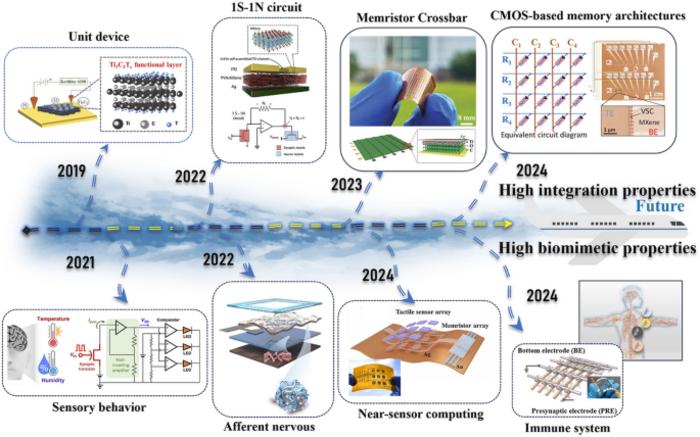 MXene-Ti3C2Tx-Based Neuromorphic Computing: Physical Mechanisms, Performance Enhancement, and Cutting-Edge Computing