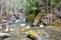 Devils Creek