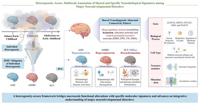 Multiscale Framework Reveals Shared and Disorder-Specific Brain Connectivity Patterns