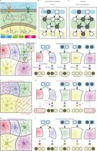 KAIST succeeds in controlling complex altered gene networks to restore them to normal​