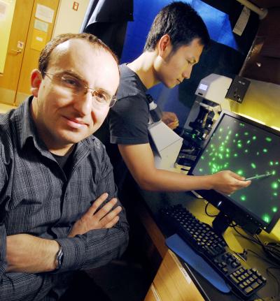 Georgia Tech <I>E. coli</I> Genome Sequencing