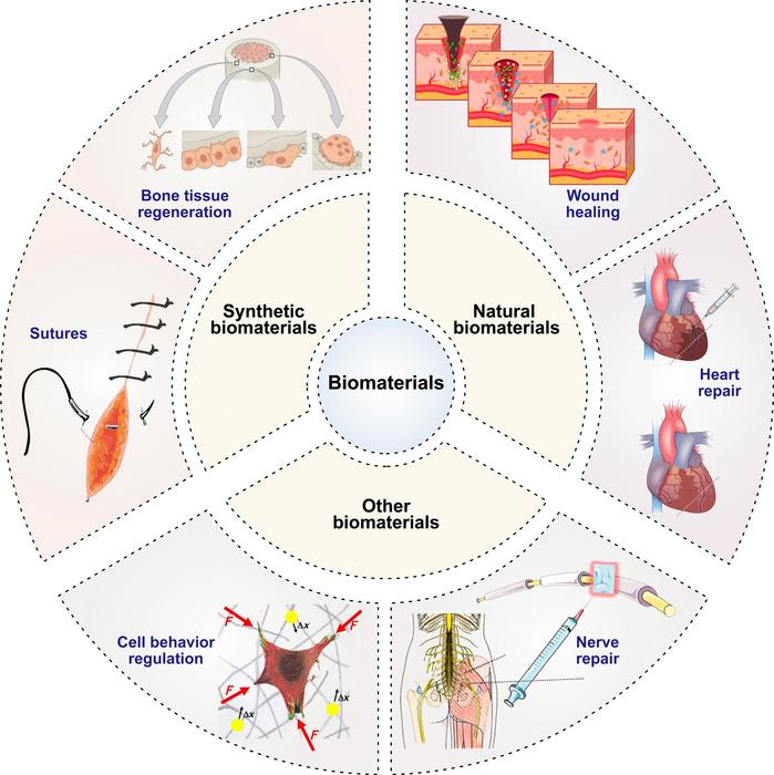 Immunomodulatory biomaterials enable multi-tissue regeneration through coordinated regulation of the local immune microenvironment