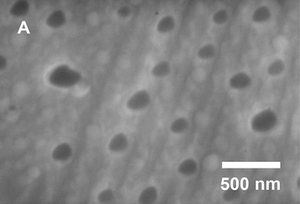 Nanoparticles
