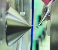 Analysis of a Single Fly Using Mass Spectrometry