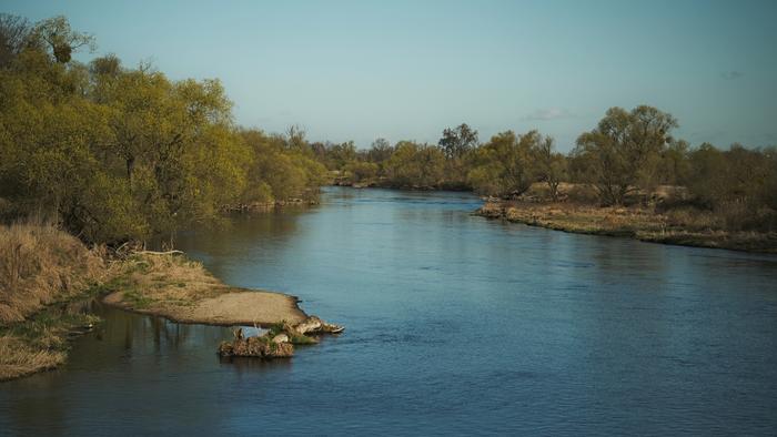 The River Mulde shortly before it flows into the Elbe – one of many waterways that shape the complex network of the Elbe river basin.