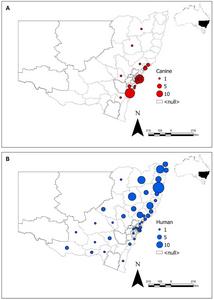 Map of New South Wales showing clustering of canine leptospirosis cases (A) and human leptospirosis cases (B).