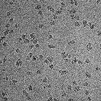 Molecular Snapshots