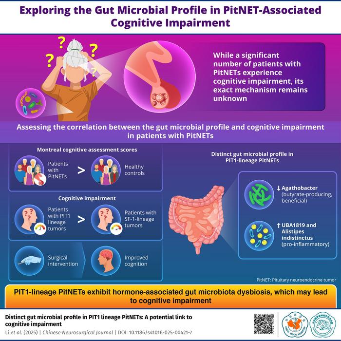 Gut Microbial Dysbiosis in PIT1-Lineage PitNETs and Its Link to Cognitive Impairment