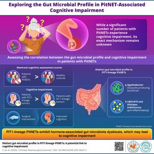 Gut Microbial Dysbiosis in PIT1-Lineage PitNETs and Its Link to Cognitive Impairment