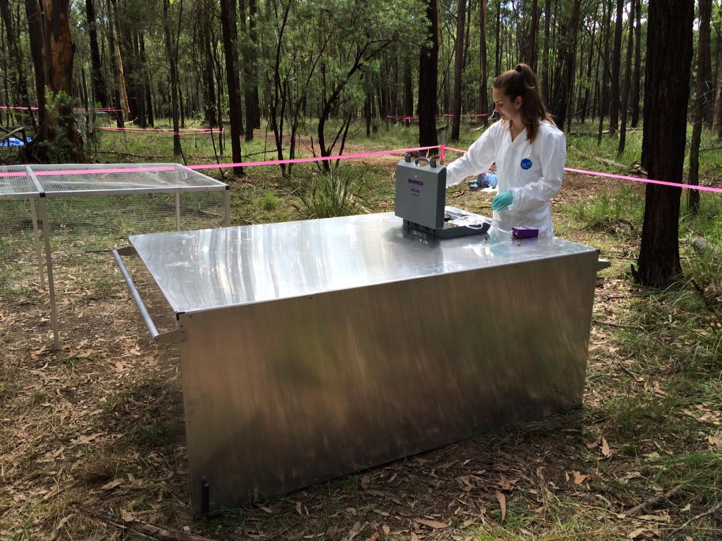 Sampling Decomposition Odor
