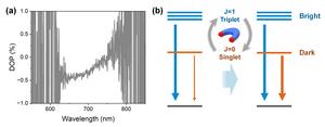 Spin-configuration of emission states in zero-dimensional metal halides