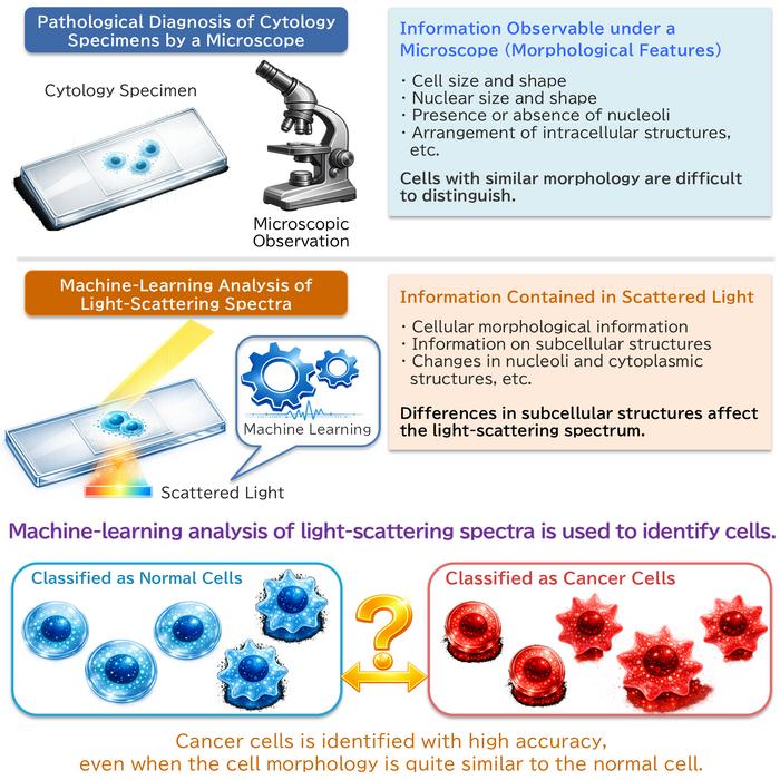 Scattered light patterns can identify cancer cells