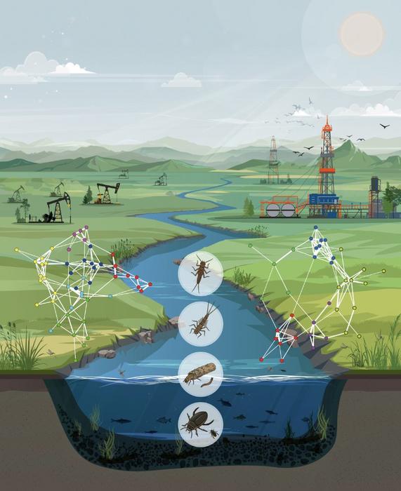 Shifts in benthic macroinvertebrate communities