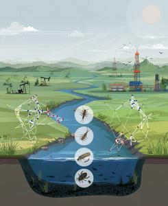 Shifts in benthic macroinvertebrate communities