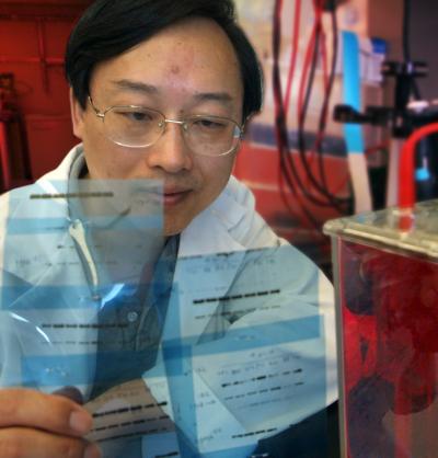 Yonghua Yang, Medical College of Georgia Cancer Center 2 (of 2)