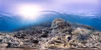 Heron Island