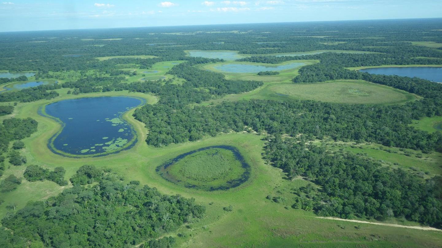 Pantanal