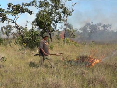 Controlled Burning