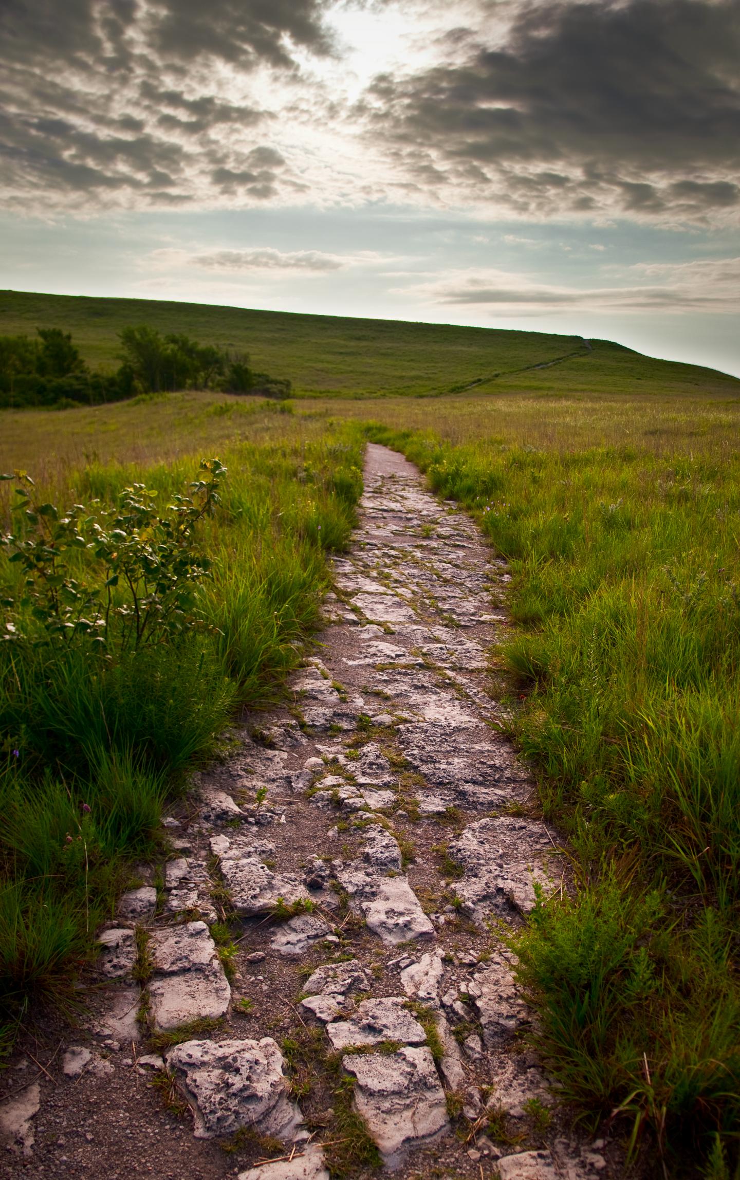Konza Prairie