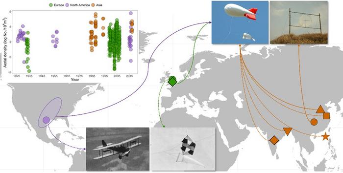 Global Aerial Sampling of Migratory Insects