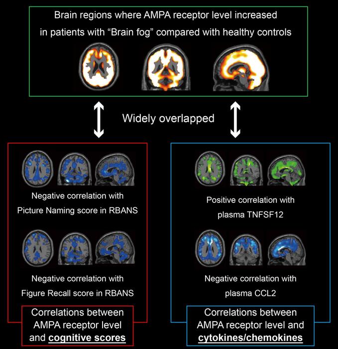 Molecular brain imaging as a tool for understanding Long COVID