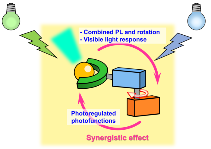 Molecular motor with fluorescent dye