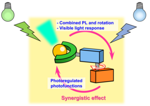 Molecular motor with fluorescent dye