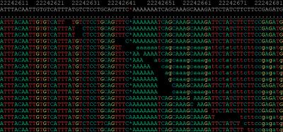 Genome Sequencing