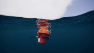 Deep-ocean heat has been marching closer to Antarctica, reveals new long-term study