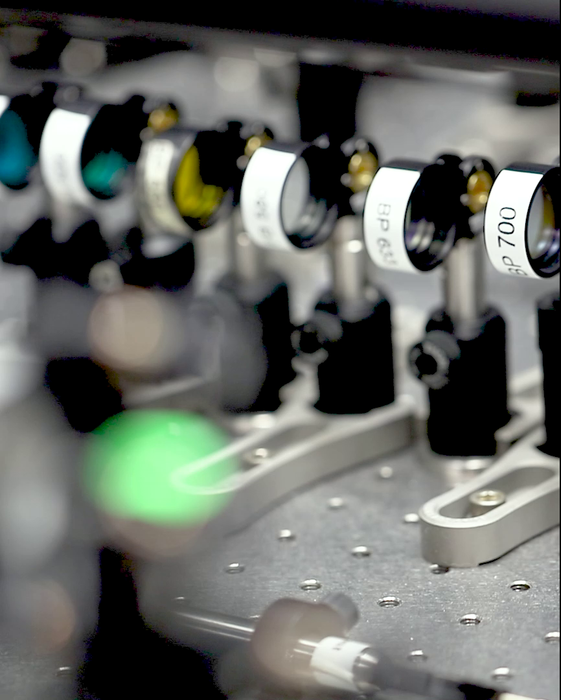 Illuminating perovskite photophysics