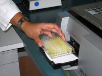 Simple Color Reaction Detects Diclofenac