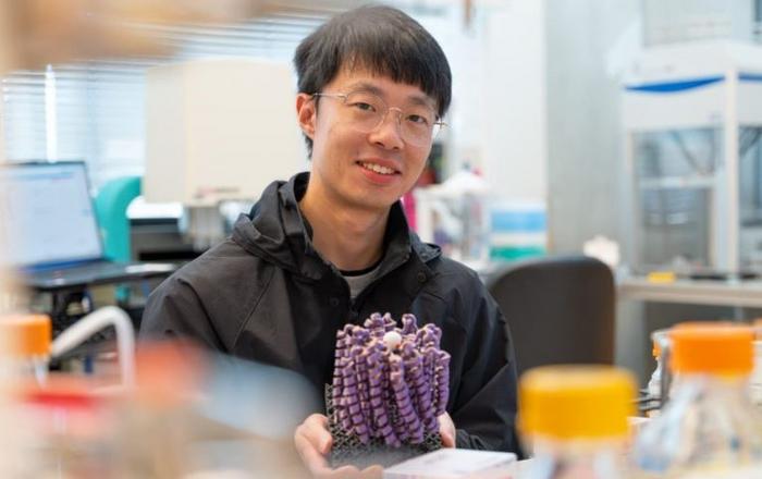 Designed Calcium Channel