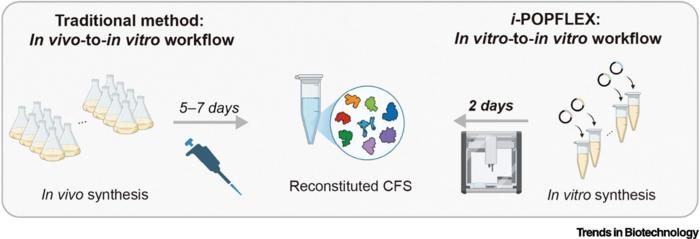Schematic illustration of the conventional workflow for preparing reconstituted cell-free systems and the automated i-POPFLEX