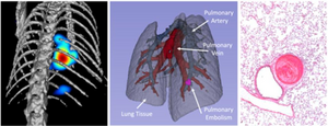 Imaging samples from Dr. Chase Kessinger
