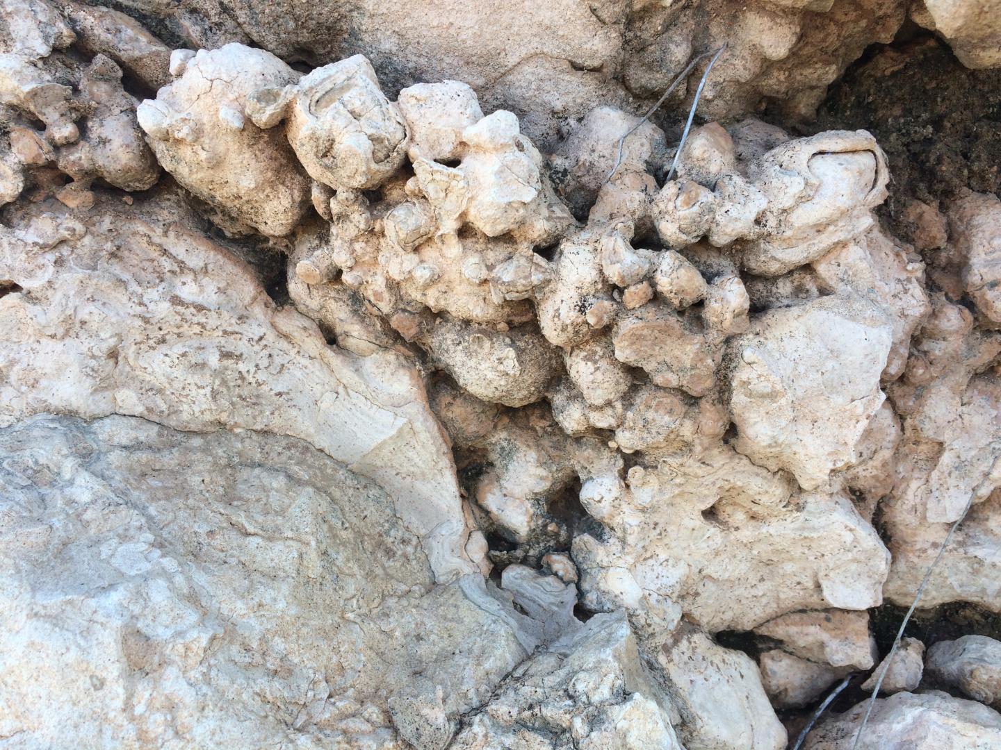 Calcium Carbonate
