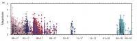 Maple Creek Swarm Timeline