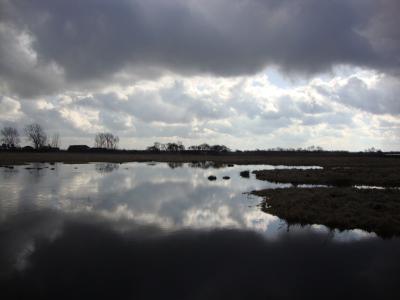 East Anglian Fens