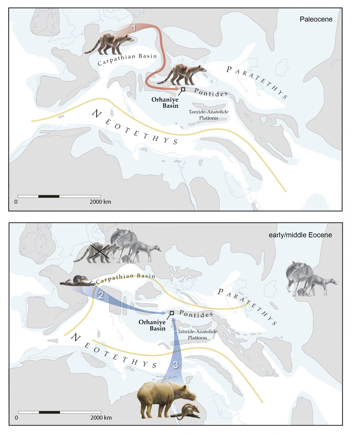 Turkey Biogeography