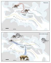 Turkey Biogeography
